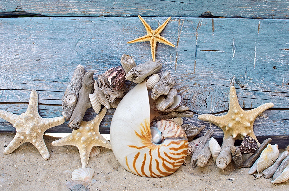 Praiana, brand identity, image 6